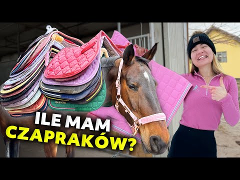 MY SADDLE SAP COLLECTION