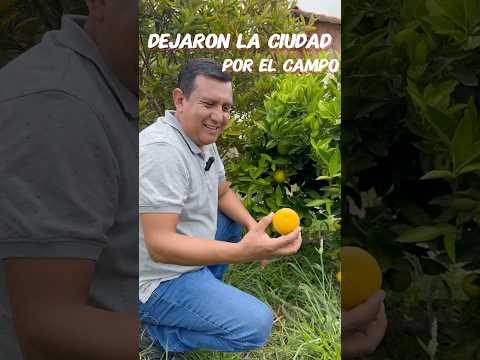 Dejaron la ciudad por el campo #ecuadorturismo #vidadecampo #naturaleza #sigchos #cotopaxi