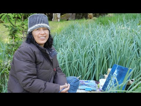 Artists in Gwaii Haanas Residency Program