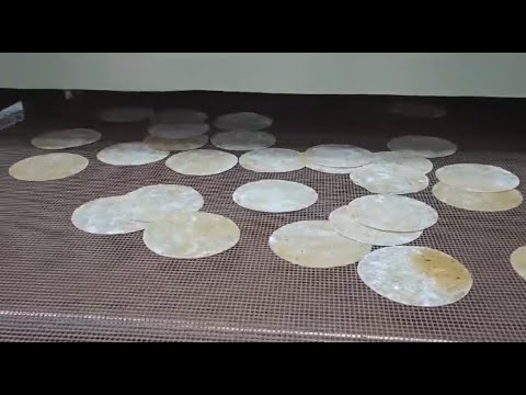 Fluid Bed Dryer