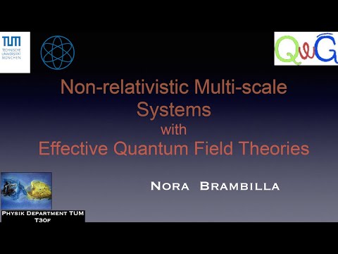Nonrelativistic multiscale systems with effective quantum field theories