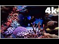 4k The Seas With Nemo Friends POV Walt Disney World S Epcot