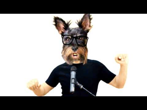 Cat Dance , Let`s get ready for the party !