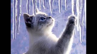 JC - High Off Your Love