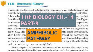 Class 11 Biology|Ch.-14 |Part-9||Amphibolic Pathway||Study with Farru