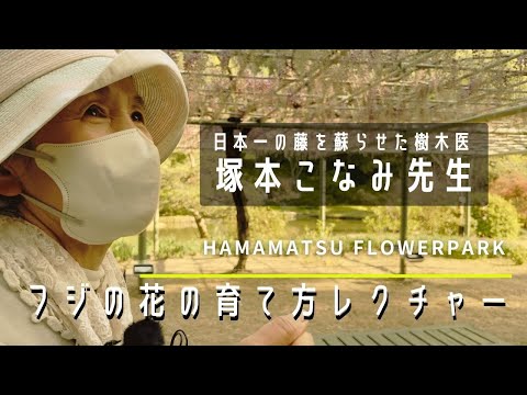 園芸 藤に関するよくある質問