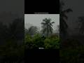 Pal Pal Dil Ke Paas Har Raat Yaadon Ki Baraat Kishore Kumar Lyrics Status Love Song Shorts
