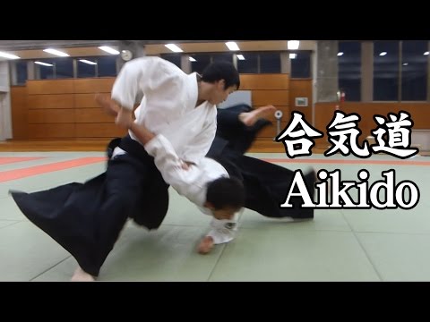Dynamic Aikido