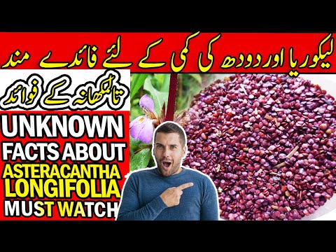 Asteracantha Longifolia Extract Powder