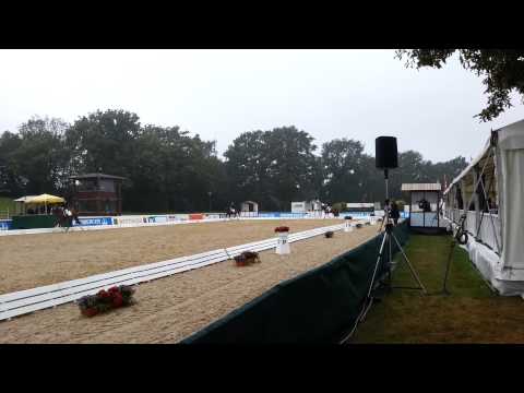 Verden WM 2013 - Hannoveraner Championat Djamila K mit Janett