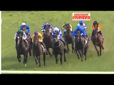 2015 ATC Colgate Optic White George Main WFA Stakes