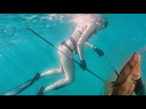 Nicole SPEARFISHING Hogfish w/ Polespear SWIMMING FROM BEACH & FREEDIVING! Rainbows + Lucky Moments!