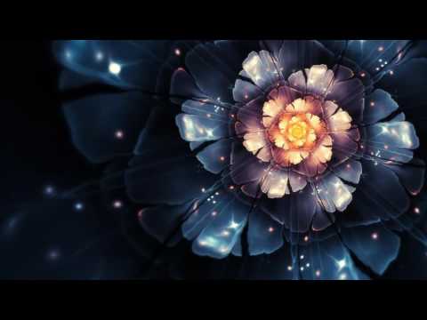 David Proïa - Lotus (Original mix)