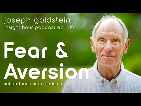 Buddhist Wisdom On Fear - Joseph Goldstein's Satipatthana Sutta Series Pt. 16  – Insight Hour Ep.219