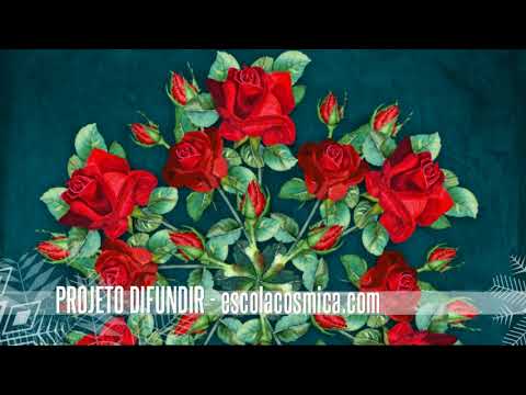 The Dance of Kali-Ma - Seleção Xamanica | escolacosmica.online