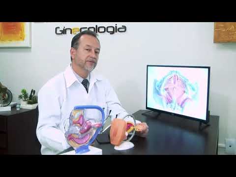 Cirurgia de Períneo