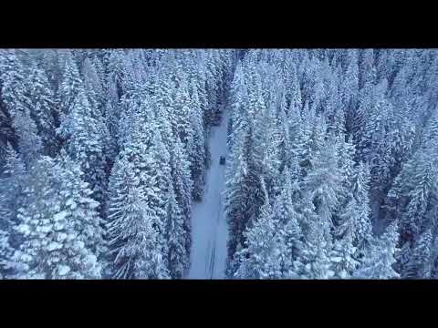 Sensation. New interpretation. Vivaldi  Seasons  Great classical music for sleep and relaxation