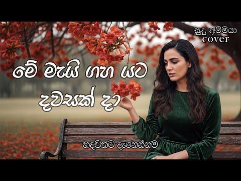 Me Mai Gaha Yata (මේ මැයි ගහ යට) | Milton Mallawarachchi | මනෝපාරකට | @suduammiyaa