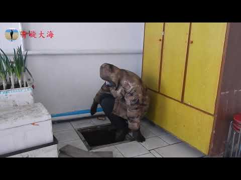 挖地窖