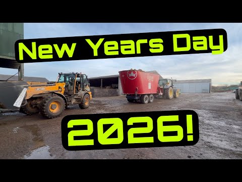 New Years Day on the Farm! Getting the Basics Done! 