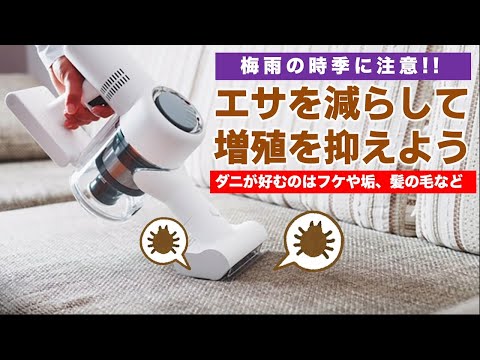 鶏のワクモの治療法は何ですか?イエダニを駆除するために取るべき手順  庭園