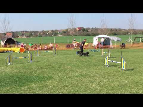 Kraft - Monor Agility kupa Bogi A2