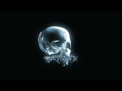 Slötii - TDAH [Animated Video]