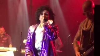 The Prince Experience - Little Red Corvette
