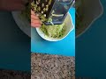 Zesty Zucchini Cakes Shorts