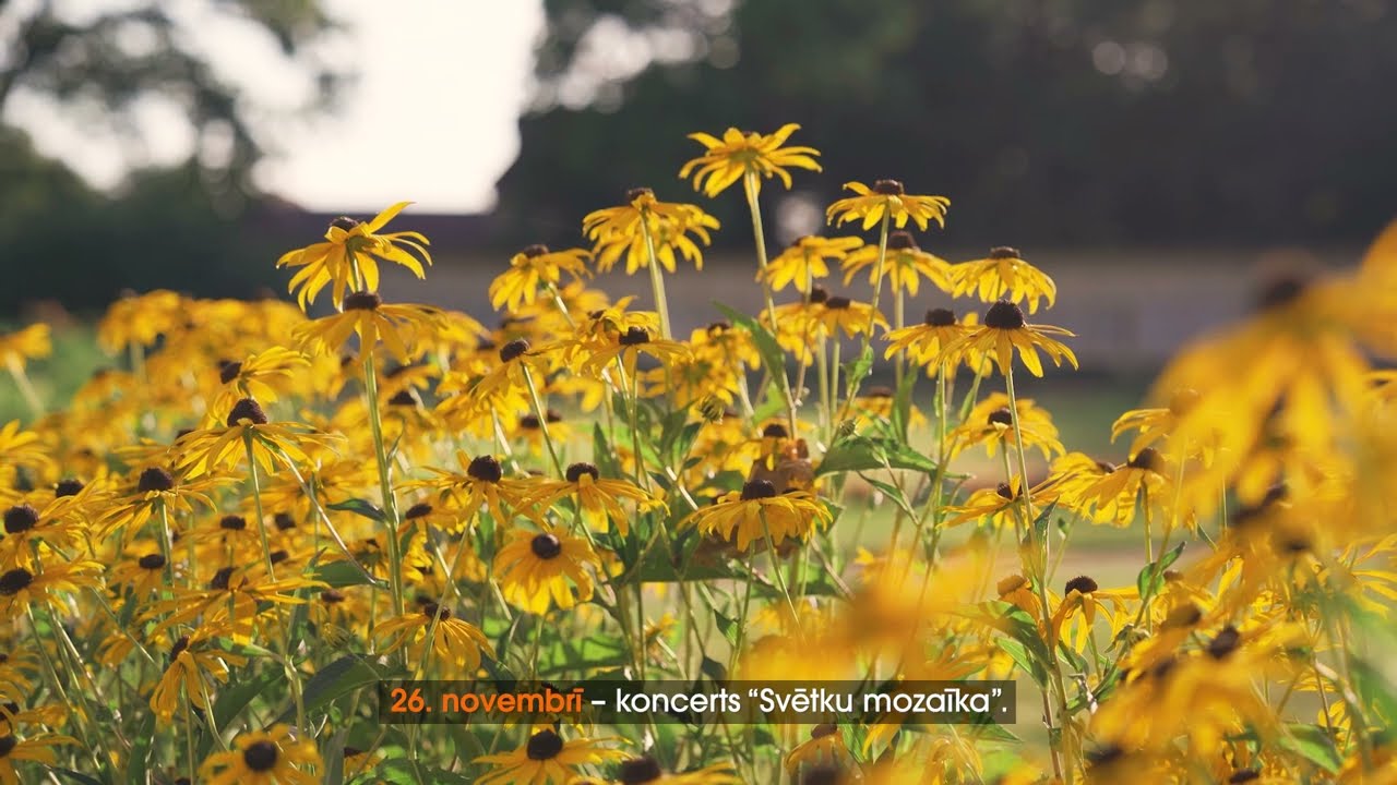 Notiks Krimuldas muižas galvenais jubilejas pasākums