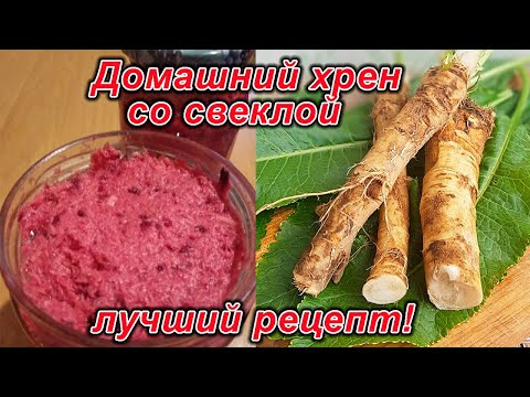 Домашний хрен со свеклой - лучший рецепт!