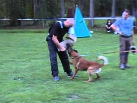 Insane Van de Berlex-Hoeve