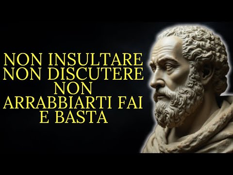 15 lezioni stoiche per non arrabbiarsi o frustrarsi mai con nessuno | Stoicismo