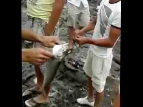 download lagu mp3 mp4 Fistri, download lagu Fistri gratis, unduh video klip Fistri