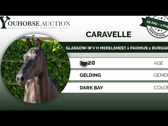 Caravelle