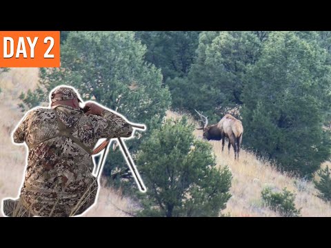 SO CLOSE on Opening Day! | New Mexico Elk Sweepstakes (EP.2)
