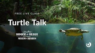 Varsity Tutors' StarCourse - Turtle Talk with Wonders of Wildlife