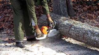 How to Cut up a Tree with a Chainsaw