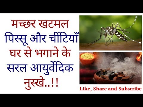 download lagu mp3 mp4 Pissu Ka Ilaj, download lagu Pissu Ka Ilaj gratis, unduh video klip Pissu Ka Ilaj
