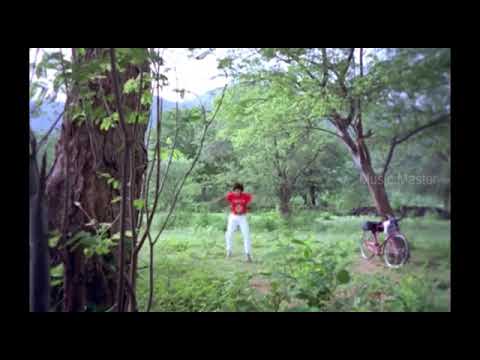 IIa Nenje Vaa Video Song || Vanna Vanna Pookkal Tamil Movie || Prasanth, Monika || IIayaraaja