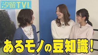 テーマトーク『のどアメ』