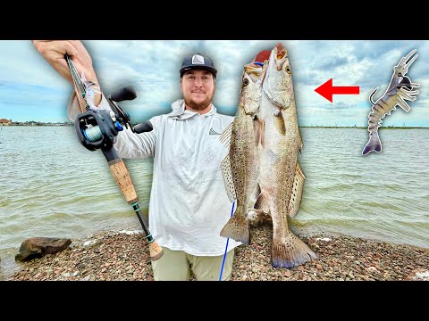Catching SPECKLED TROUT and REDFISH from the BANK! (Catch, Clean, Cook)