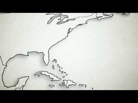 Pup Star 3-Tiny: one pack