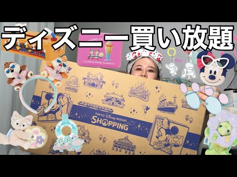 【総額７万円越え】ディズニーランド・シーでグッズ買い放題してきたらマジで楽しすぎてハッピーライド