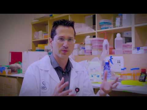 Immunotherapy | Friends of Sheba DNA Of A Hero Gala 2016