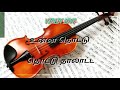 Muthu Mani Malai Song From Chinna Gounder Movie With Violin Music