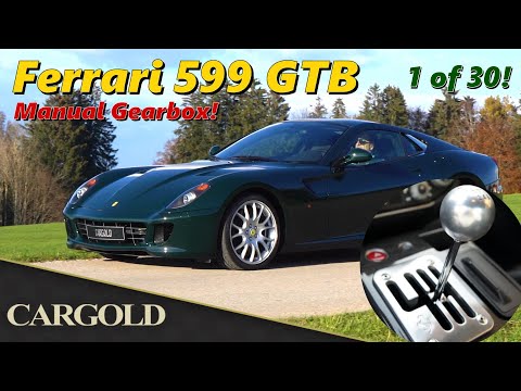 Cargold Youtube