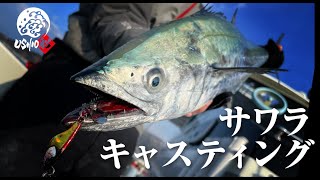 【Spanish mackerel 배】BIG BACKER 사와라 캐스팅 게임 2022 / 요시오카 진 스기야마 다이오