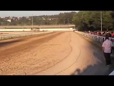 Trka Milica 1300m. Pobednik SIBIRSKA KRALJICA & Perovic DJ.