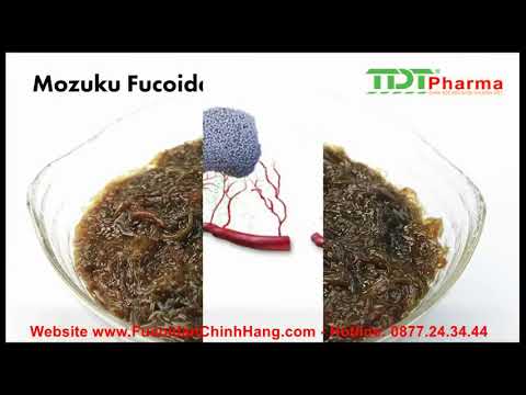 Video giới thiệu về Fucoidan 3-Plus Nhật Bản nhập khẩu chính hãng
